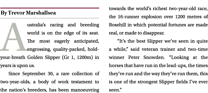 ￼ Australia’s racing and breeding world is on the edge of its seat. The most eagerly anticipated, engrossing, quality...