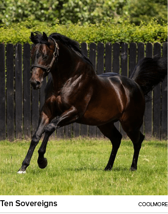 Ten Sovereigns coolmor