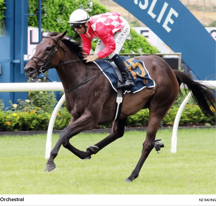 Orchestral nz racin