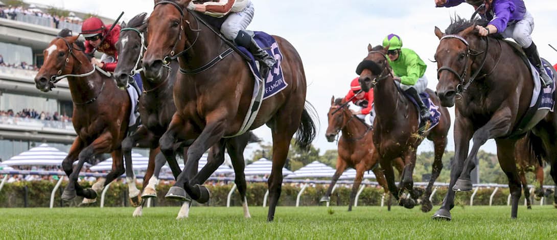 Legarto (NZ) ridden by Michael Dee wins the Australian Guineas at Flemington Racecourse on March 04, 2023 in Flemington, Australia. (Photo by George Sal/Racing Photos)