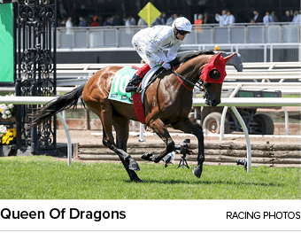 Queen Of Dragons racing photo