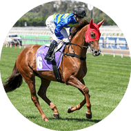 Another Wil on the way to the barriers prior to the running of the Good Friday Appeal Plate at Flemington Racecourse on March 02, 2024 in Flemington, Australia. (Photo by George Sal/Racing Photos)