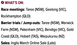 ￼ What's on: Race meetings: Taree (NSW), Geelong (VIC), Rockhampton (QLD) Barrier trials / Jump outs: Taree (NSW), Wa...