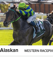 Alaskan Western Racepi