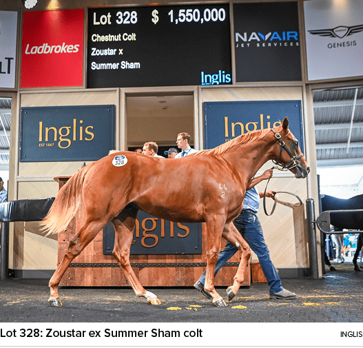 Lot 328: Zoustar ex Summer Sham colt ingli