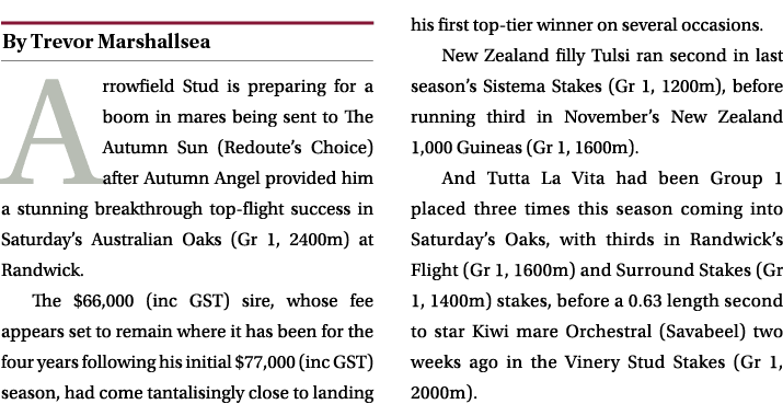 ￼ Arrowfield Stud is preparing for a boom in mares being sent to The Autumn Sun (Redoute’s Choice) after Autumn Angel...