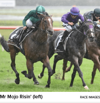 Mr Mojo Risin' (left) Race Image