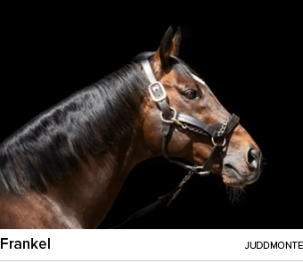 Frankel juddmont