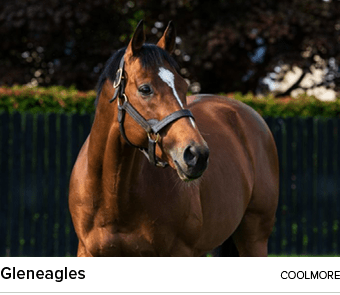 Gleneagles coolmor