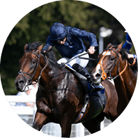 Cambridge (Ryan Moore,left) beats Houstonn (David Egan) in the 1m novice stakes Salisbury 7.9.23 Pic: Edward Whitaker