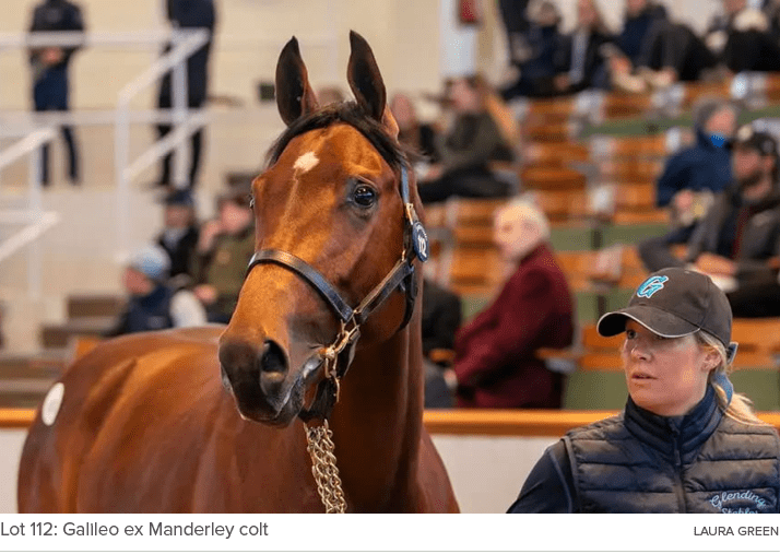 Lot 112: Galileo ex Manderley colt Laura Gree