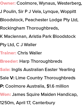 Owner: Coolmore, Wynaus, Westerberg, J Poulin, Sir P J Vela, Lynque, Woppitt Bloodstock, Peachester Lodge Pty Ltd, Ro...