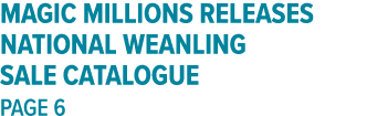 Magic Millions releases National Weanling Sale catalogue page 6