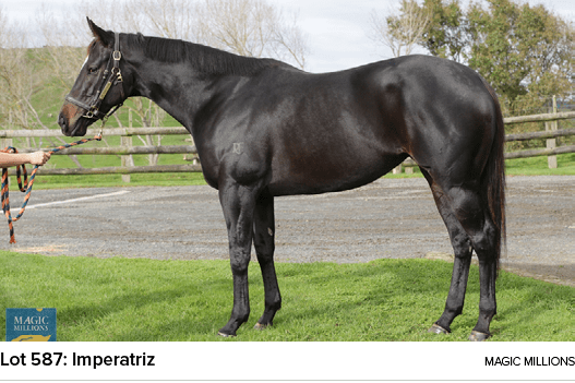 Lot 587: Imperatriz magic million