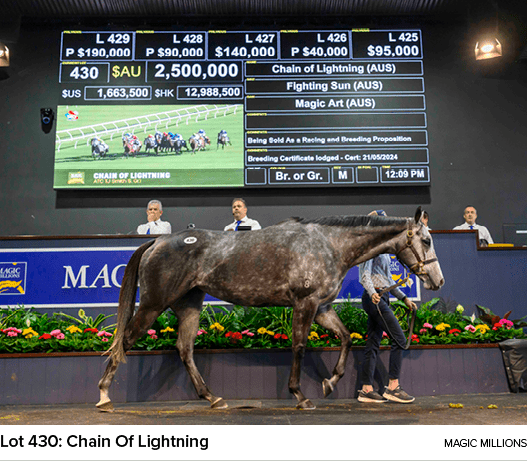 Lot 430: Chain Of Lightning magic million