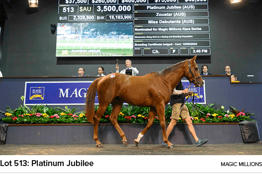 Lot 513: Platinum Jubilee magic million