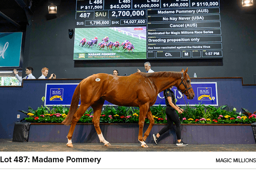 Lot 487: Madame Pommery magic million