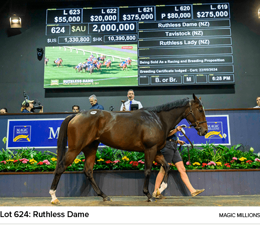 Lot 624: Ruthless Dame magic million