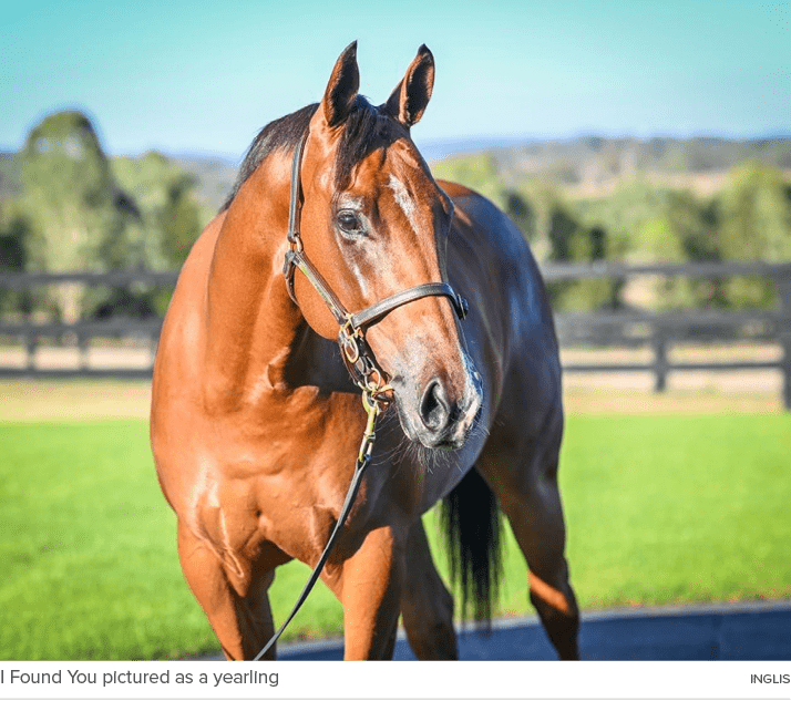 I Found You pictured as a yearling INGLI