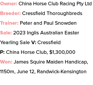 Owner: China Horse Club Racing Pty Ltd Breeder: Cressfield Thoroughbreds Trainer: Peter and Paul Snowden Sale: 2023 I...