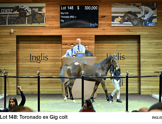 Lot 148: Toronado ex Gig colt ingli