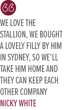 We love the stallion, we bought a lovely filly by him in Sydney, so we’ll take him home and they can keep each other ...