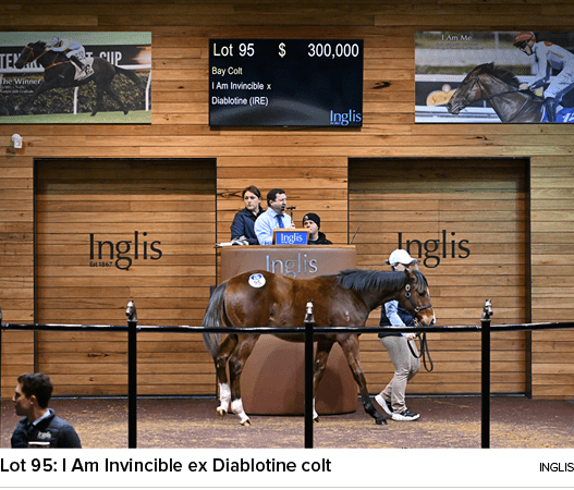 Lot 95: I Am Invincible ex Diablotine colt ingli