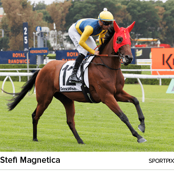 Stefi Magnetica sportpi