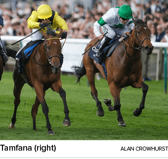 Tamfana (right) Alan Crowhurs