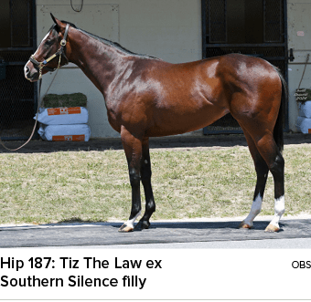 Hip 187: Tiz The Law ex OBS Southern Silence filly 