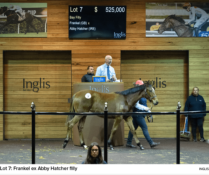 Lot 7: Frankel ex Abby Hatcher filly ingli