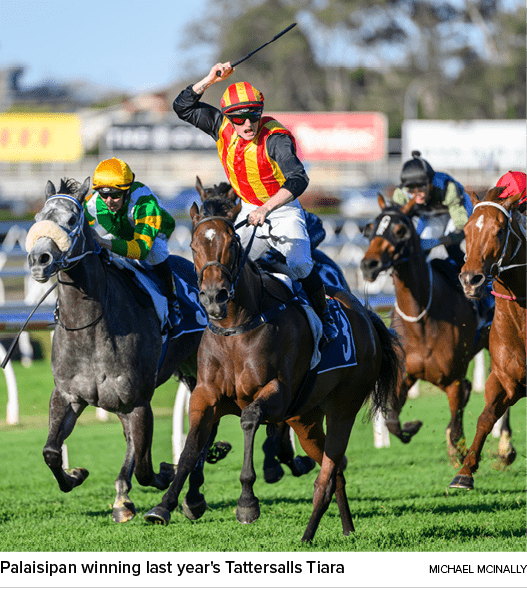 Palaisipan winning last year's Tattersalls Tiara MICHAEL MCINALL