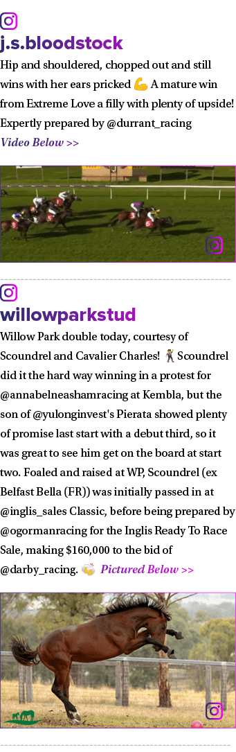 ￼ j.s.bloodstock Hip and shouldered, chopped out and still wins with her ears pricked 💪 A mature win from Extreme Lo...