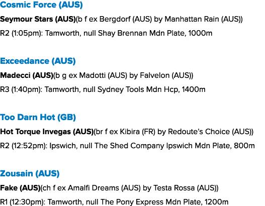 Cosmic Force (AUS) Seymour Stars (AUS)(b f ex Bergdorf (AUS) by Manhattan Rain (AUS)) R2 (1:05pm): Tamworth, null Sha...