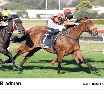 Bradman Race Images