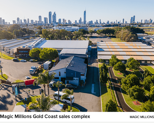 Magic Millions Gold Coast sales complex magic million