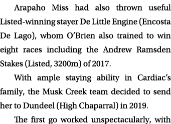 Arapaho Miss had also thrown useful Listed winning stayer De Little Engine (Encosta De Lago), whom O’Brien also train...