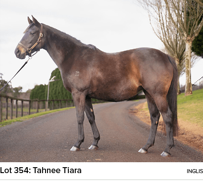 Lot 354: Tahnee Tiara ingli