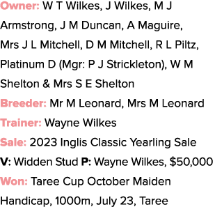 Owner: W T Wilkes, J Wilkes, M J Armstrong, J M Duncan, A Maguire, Mrs J L Mitchell, D M Mitchell, R L Piltz, Platinu...