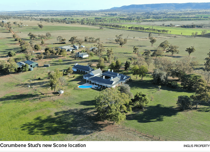 Corumbene Stud's new Scone location inglis propert