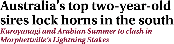 Australia’s top two year old sires lock horns in the south Kuroyanagi and Arabian Summer to clash in Morphettville’s ...