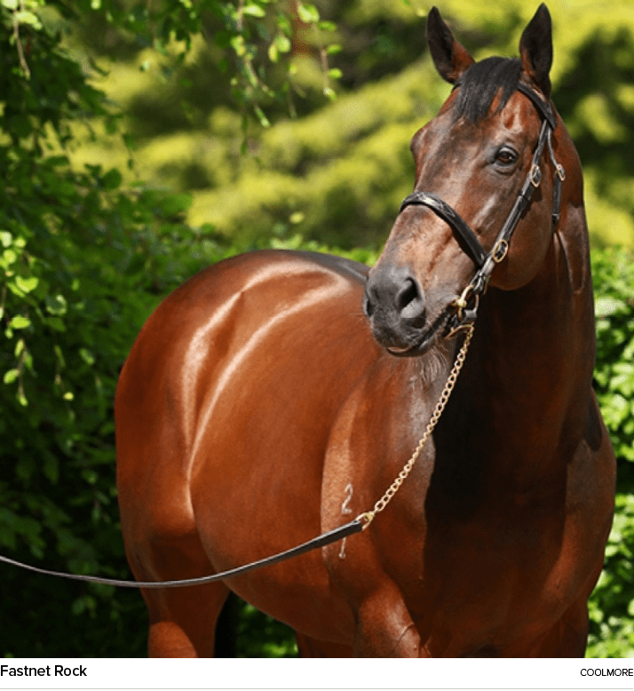 Fastnet Rock coolmor