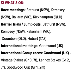 ￼ What's on: Race meetings: Bathurst (NSW), Kempsey (NSW), Ballarat (VIC), Rickhampton (QLD) Barrier trials / Jump ou...