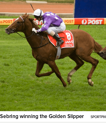 Sebring winning the Golden Slipper sportpi