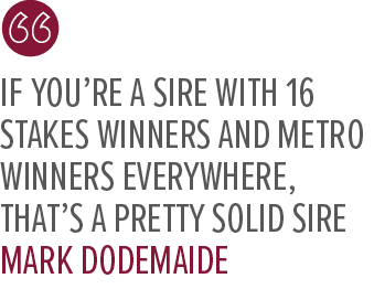 if you’re a sire with 16 stakes winners and metro winners everywhere, that’s a pretty solid sire Mark Dodemaid