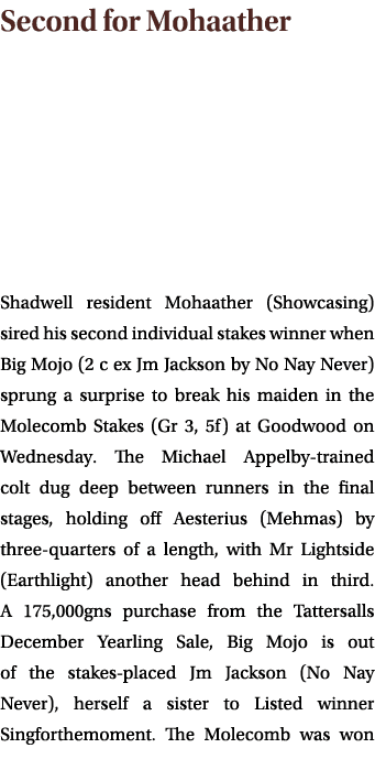 Second for Mohaather Shadwell resident Mohaather (Showcasing) sired his second individual stakes winner when Big Mojo...