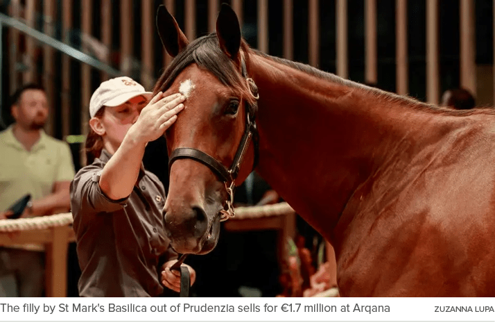 The filly by St Mark's Basilica out of Prudenzia sells for €1.7 million at Arqana ZUZANNA LUP