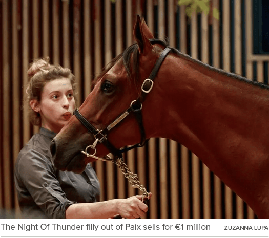 The Night Of Thunder filly out of Paix sells for €1 million ZUZANNA LUP