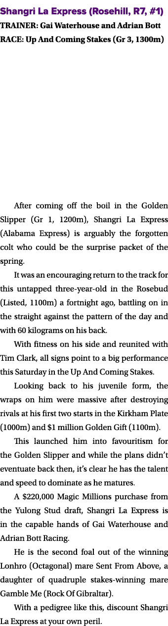 Shangri La Express (Rosehill, R7, #1) TRAINER: Gai Waterhouse and Adrian Bott RACE: Up And Coming Stakes (Gr 3, 1300m...