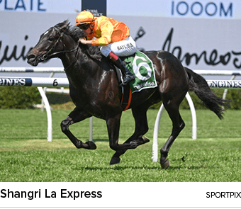 Shangri La Express sportpi